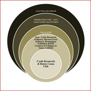 Lions Club International Organisational Structure